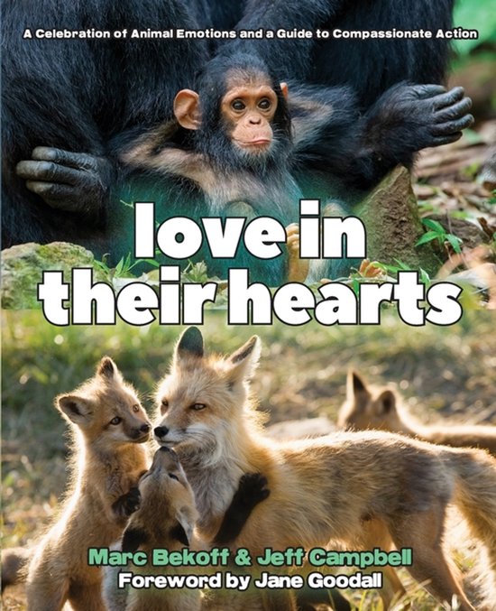 Boekomslag: 'love in their hearts', met een babychimpansee en een vossenfamilie. A Celebration of Animal Emotions and a Guide to Compassionate Action.