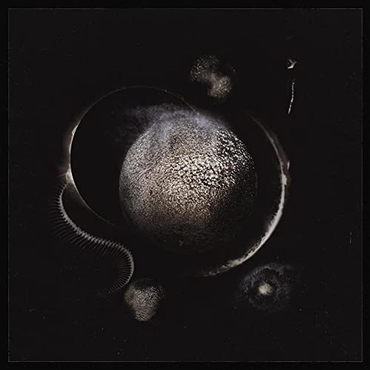 Koude Zwarte Zonnen - Enthroned