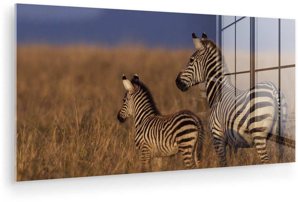 ® Glasschilderij 40x20 cm - Schilderij acrylglas - Moeder en baby zebra - Foto op glas - Muurdecoratie woonkamer - Wanddecoratie slaapkamer - Schilderijen