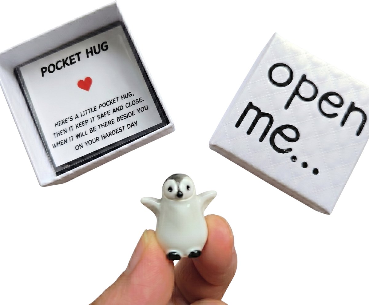 Luxe Pocket Hug Pinguïn in Cadeau doosje - Inclusief Betekenisvolle Wenskaart - Handgemaakt Pinguïntje - Cadeau voor Vriend, Vriendin, Partner of Familie - Klein Gebaar bij Afstand, Liefde of Steun - Valentijnsdag