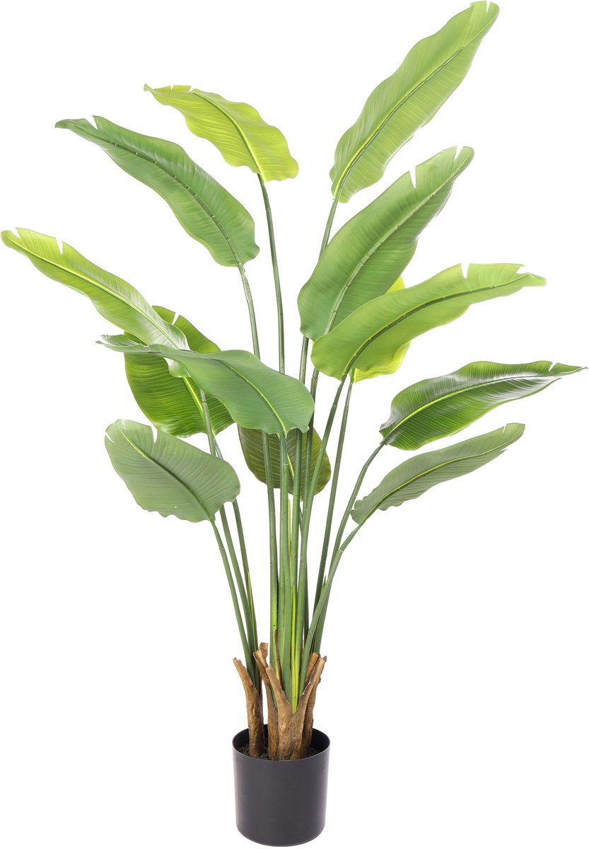 Kunst Strelitzia Deluxe | Guadeloupe | 140cm - Namaak bananenboom - Kunstplanten voor binn