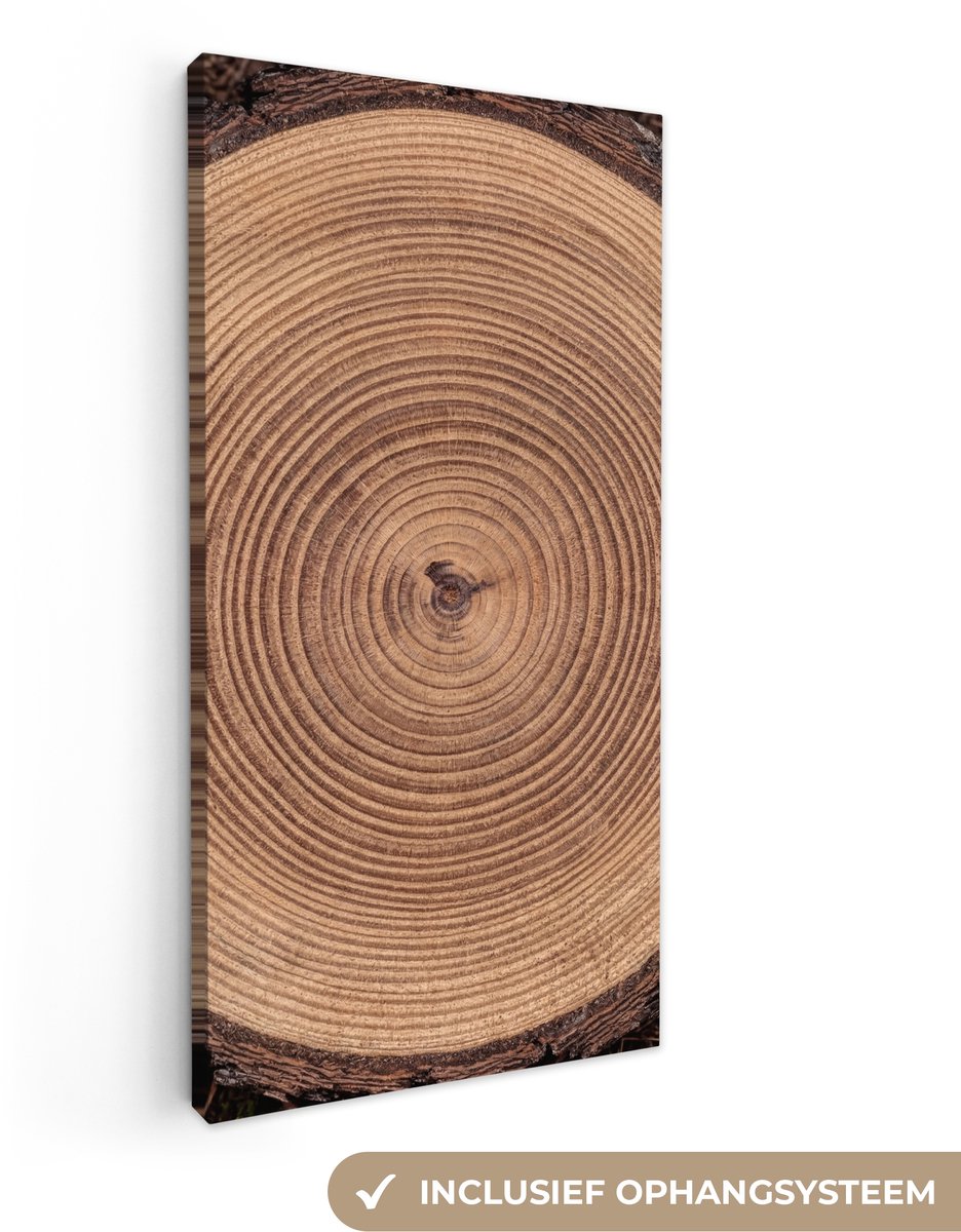 Canvas schilderij 20x40 cm - Exclusieve wanddecoratie Boomstam - Hout - Bruin - Muurdecora