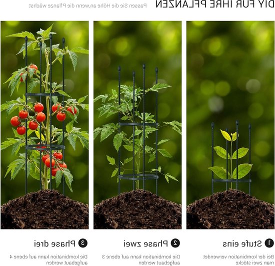Set van 2 metalen tuin klimsteunen van 160 cm met 30 plantclips voor tomaten, rozen en klimplanten — afbeelding 3