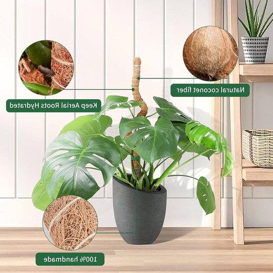 Moss Stokken voor Klimplanten, 2-Pack van 120cm Buigbare Kokos Plantsteunen voor Monstera en Andere Kamerplanten met Tuin Tape en Jute Touw — afbeelding 3