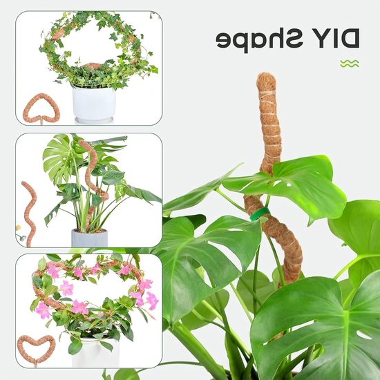 Moss Stokken voor Klimplanten, 2-Pack van 120cm Buigbare Kokos Plantsteunen voor Monstera en Andere Kamerplanten met Tuin Tape en Jute Touw — afbeelding 2