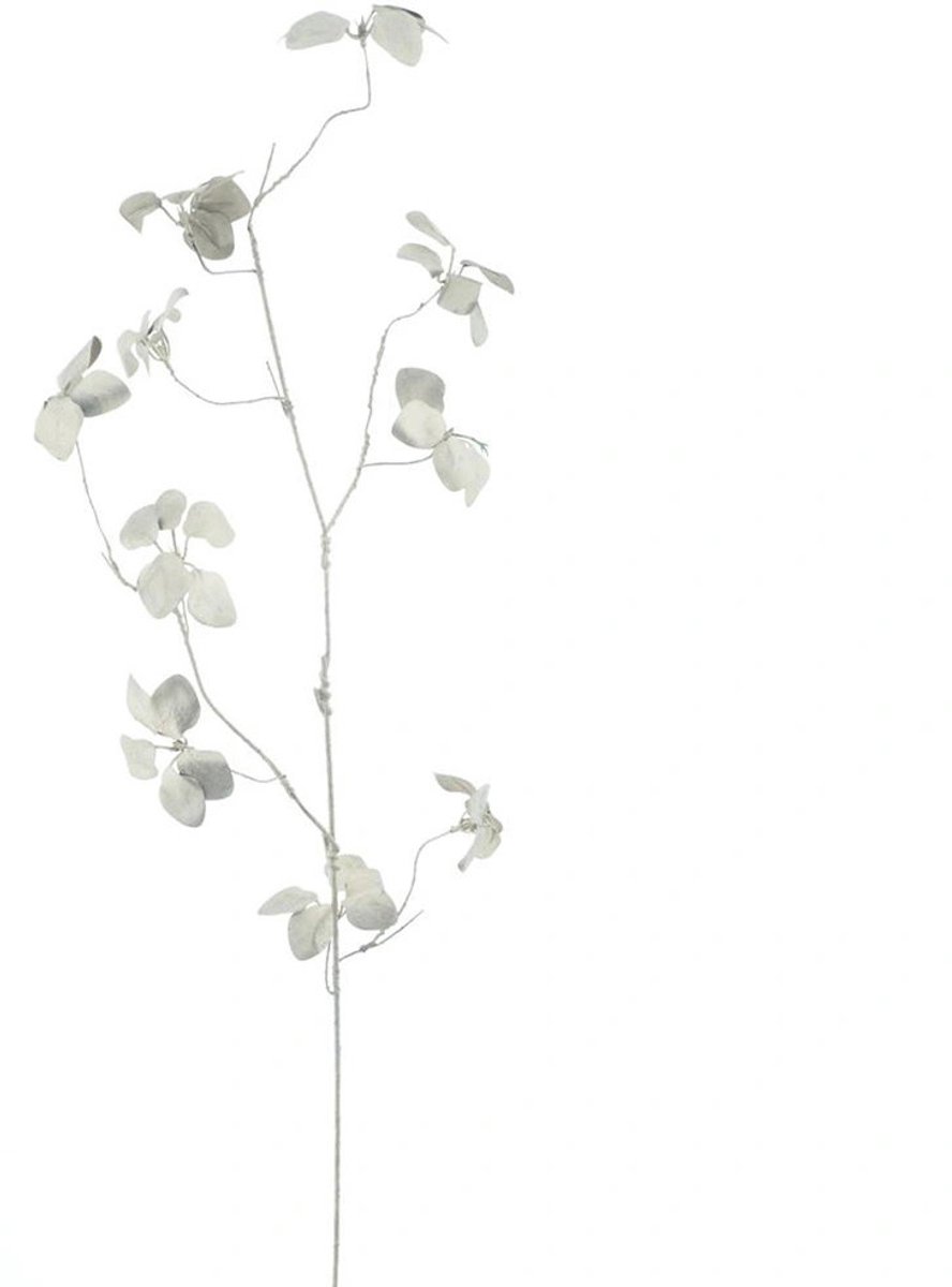 Buitengewoon Boet Buitengewoon de boet - Wild leaf spray champagne 80 cm kunsttak beige