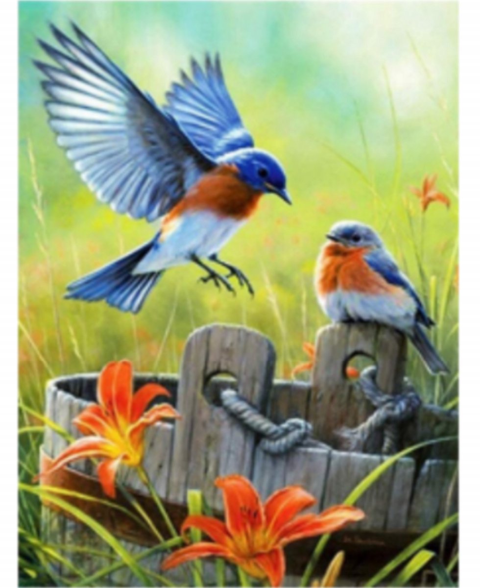 Diamond Painting