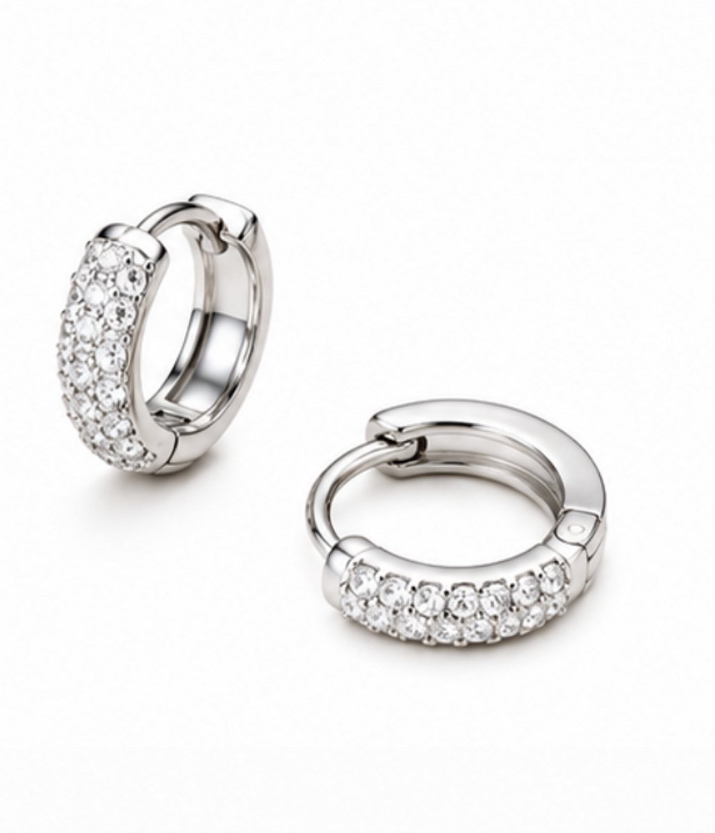 Oorbellen - Zilverkleurig - roestvrij staal - Sieraden - Oren - Vrouwen- verjaardag cadeau - cadeau - Schattige Oorbellen