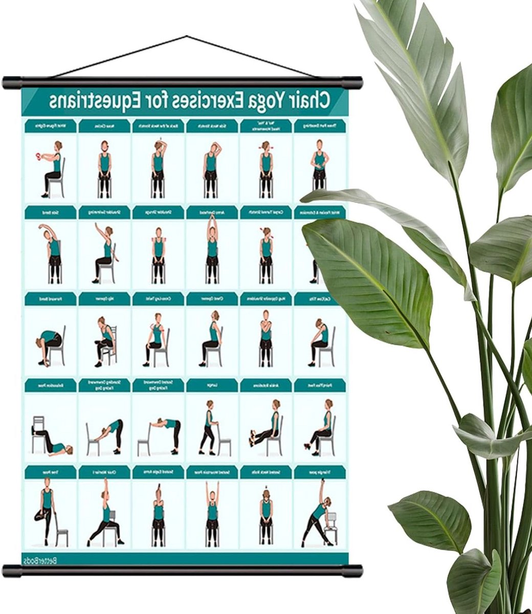 Stoel Fitness Oefenposter - Wandmontage Yoga - Mobiliteitstraining Thuis - Meer dan 30 Oefeningen