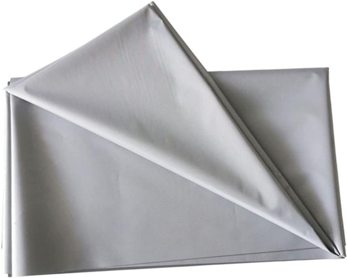 Projectiescherm - Beamerdoek - Thuisbioscoop Creëren - Gelijkmatige Lichtverdeling - 159 x 90 cm - Zilver