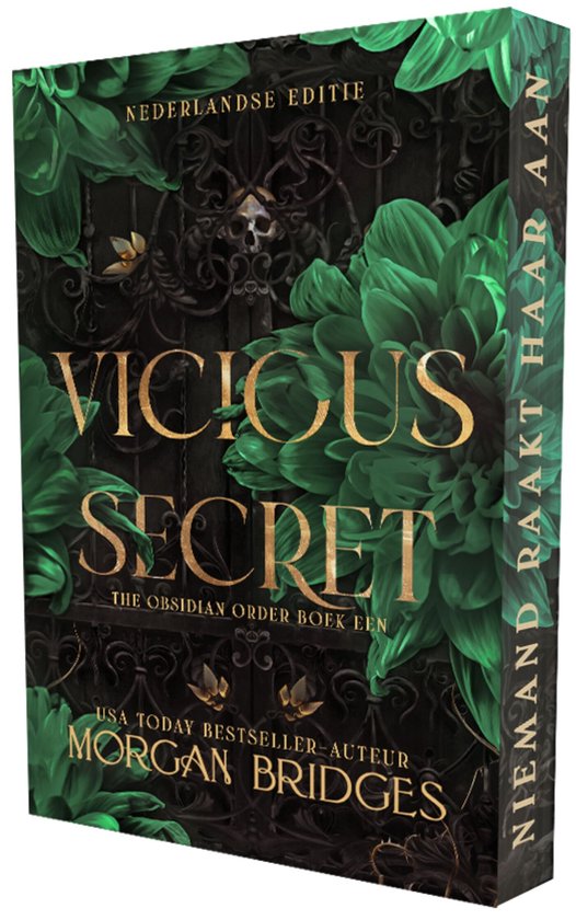 The Obsidian Order 1 - Vicious secret - cover