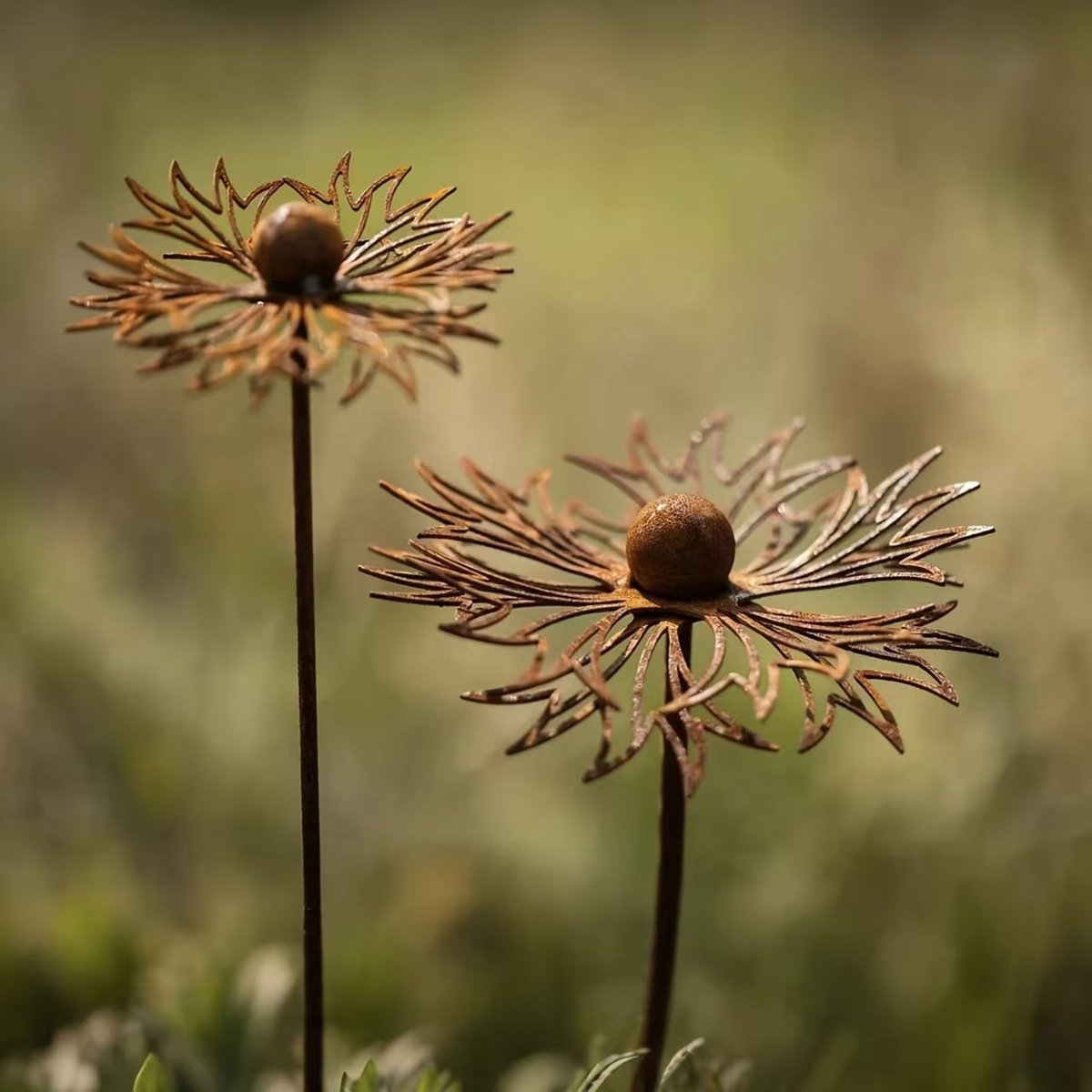 Set van 2 tuinzonnehoedjes van roestkleurig metaal met kantmotief, roestvrijstalen tuintralie, bloempot met natuurlijk raster (korenbloemmotief), artistieke decoraties voor tuinen, binnenplaatsen en gazons.