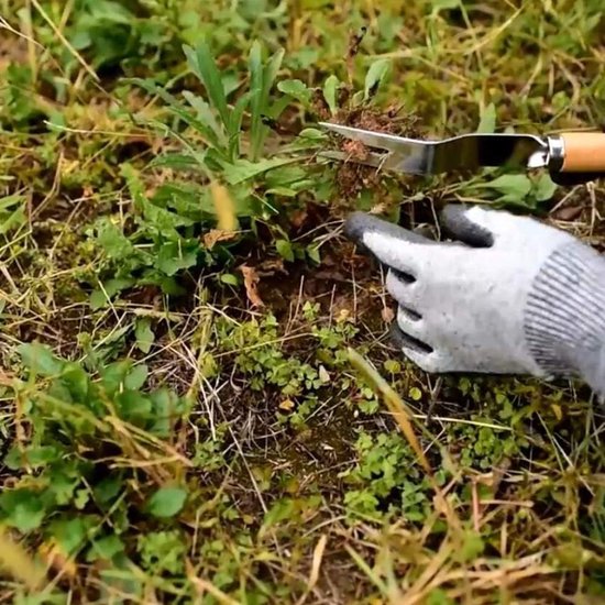 Hand Onkruidvork - Tuingereedschap Verwijderaar - Onkruid Wieden - Roestvrij Staal - 30 cm Lengte - Hout — afbeelding 5