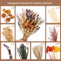 Overzicht met de tekst 'Various styles of autumn bouquets' en negen verschillende soorten droogbloemen.