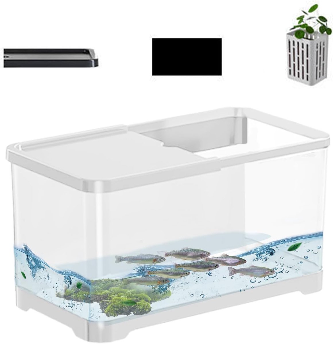 Aquarium Starter Set - Complete Vis Set - Beginners Vis Houden - Hydroponische Mand - 30.6 x 19.6 cm - Wit thumbnail 6