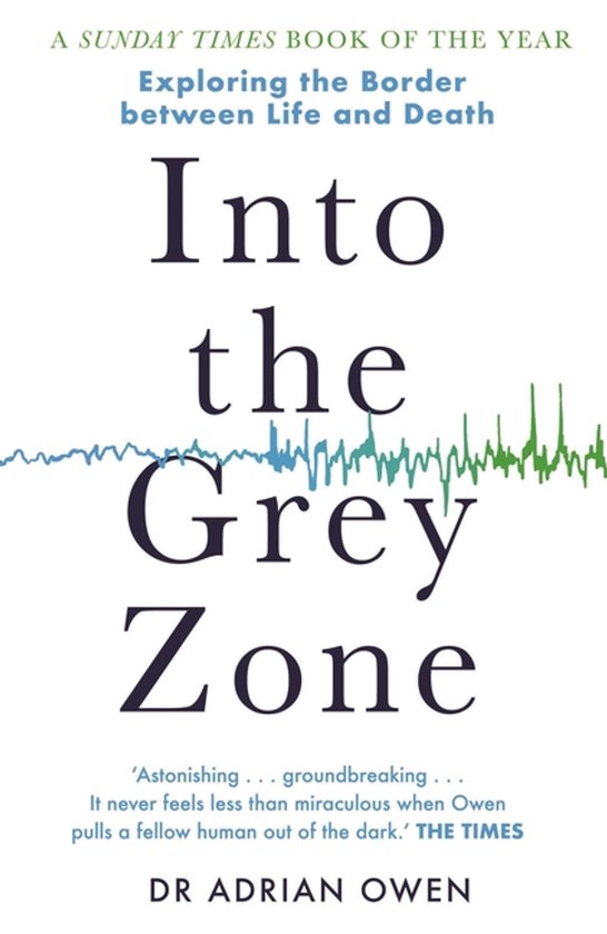 Into the Grey Zone - cover