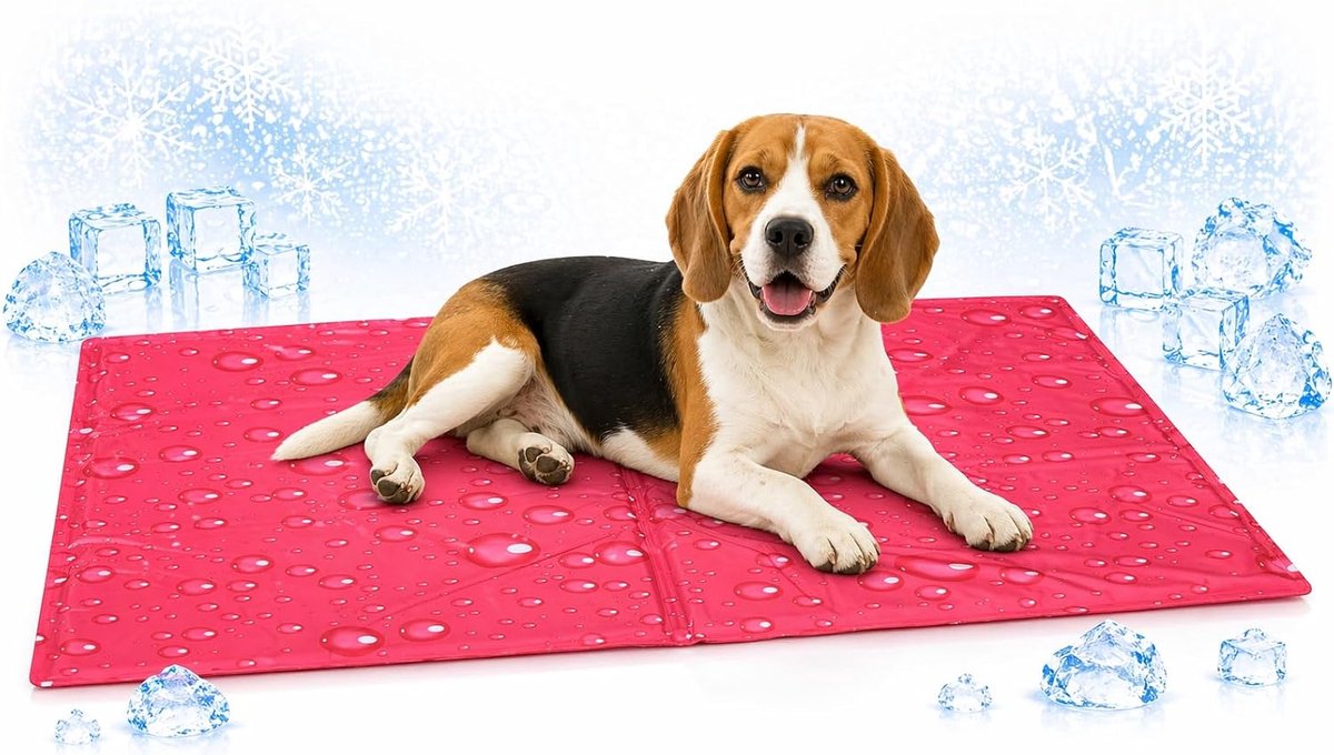 Bol.com Koelmat hond - koelmat kat - M - 70x50 cm - Drop Fuchsia - zelfkoelende mat voor honden en katten - verkoelende zomer mat aanbieding