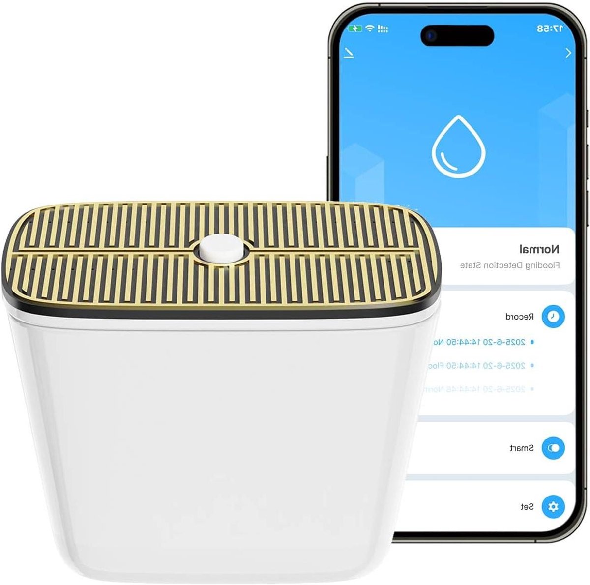 Slimme Waterdetector - Lekdetector Alarm - Waterschade Voorkomen - Zeer Gevoelige Detectie - IP67 Waterdicht - Wit