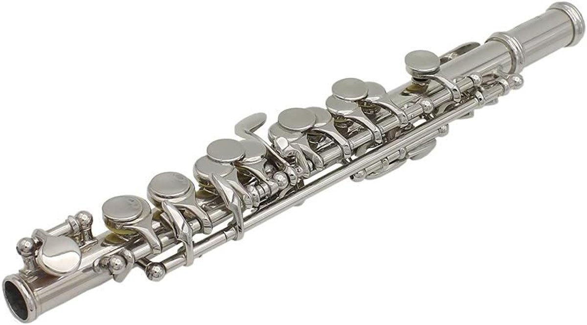 Piccolo Set - Koperen Fluit - Muziek Maken - Ergonomisch Ontwerp - 16-gaats - Zilver