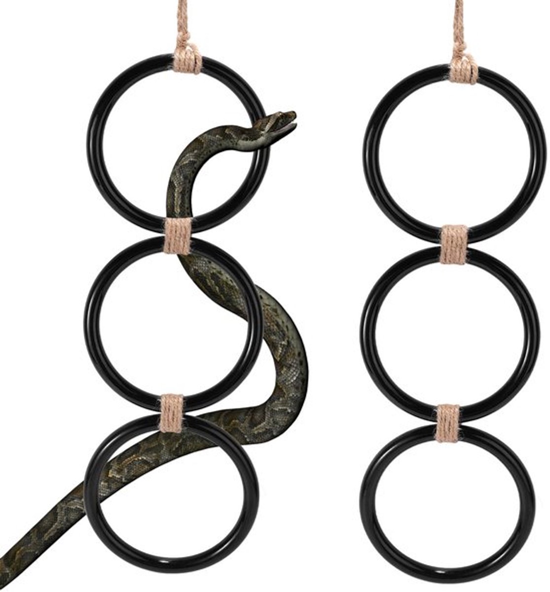 2 Stuks Snake Climbing Ringen - Zwart Acryl - Klimaccessoires voor Reptielen