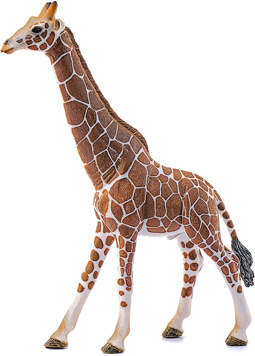 schleich WILD LIFE - Mannetjesgiraf - Speelfiguur - Kinderspeelgoed voor Jongens en Meisjes - 3 tot 8 jaar - 14749 — afbeelding 4