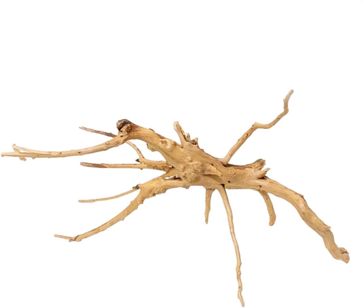 Aquarium Hout - Decoratie Hout Terrarium Hout - Aquarium Inrichten - Natuurlijke Uitstraling - 10-25 cm - Bruin