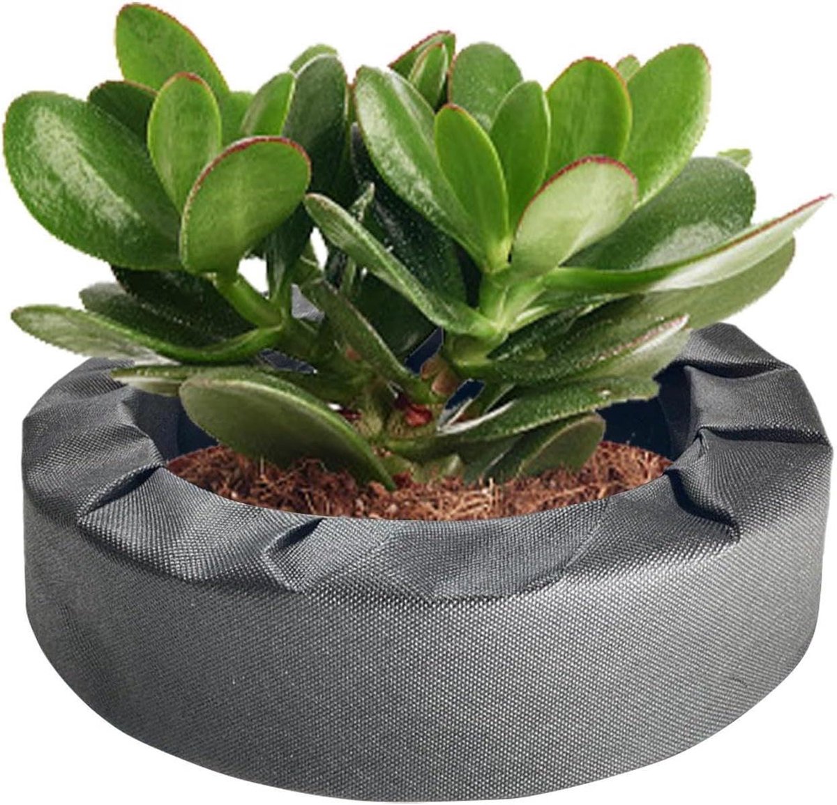 Drijvende plantenbak - Vijver mand - Waterplanten kweken - Optimale worteltoegang - 235 cm breed - Grijs