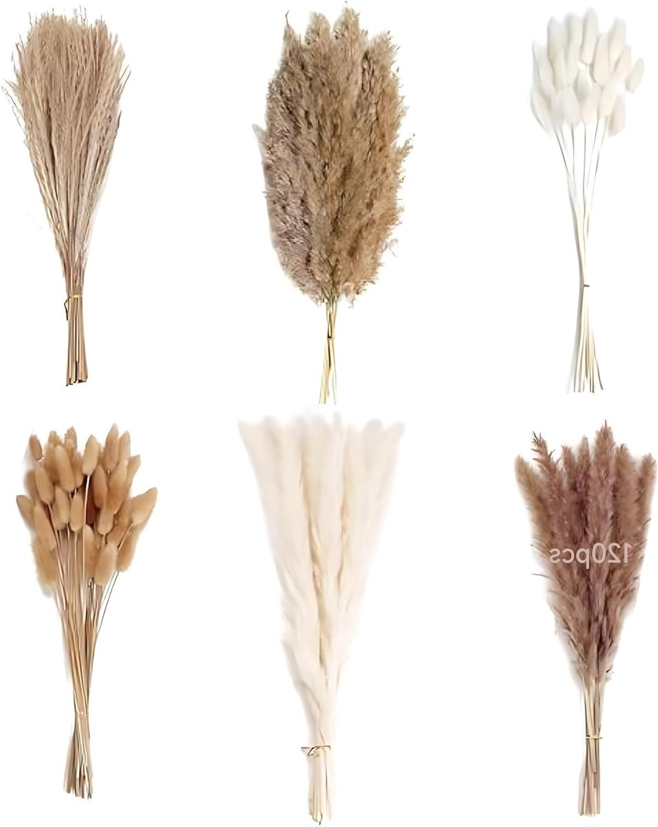 Prachtig 120-delig droogbloemen boeket met pampasgras en hazenstaarten voor boho-decoratie, ideaal voor herfstarrangementen en DIY bloemstukken