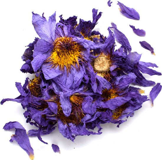 Blauwe Lotus thee - Hele Bloemen - Blue Lotus tea - 20 gram - Whole Flowers - Nymphaea caerulea - Hoogste Kwaliteit - Cafeïnevrije kruidenthee - Meditatie - Ontspanning