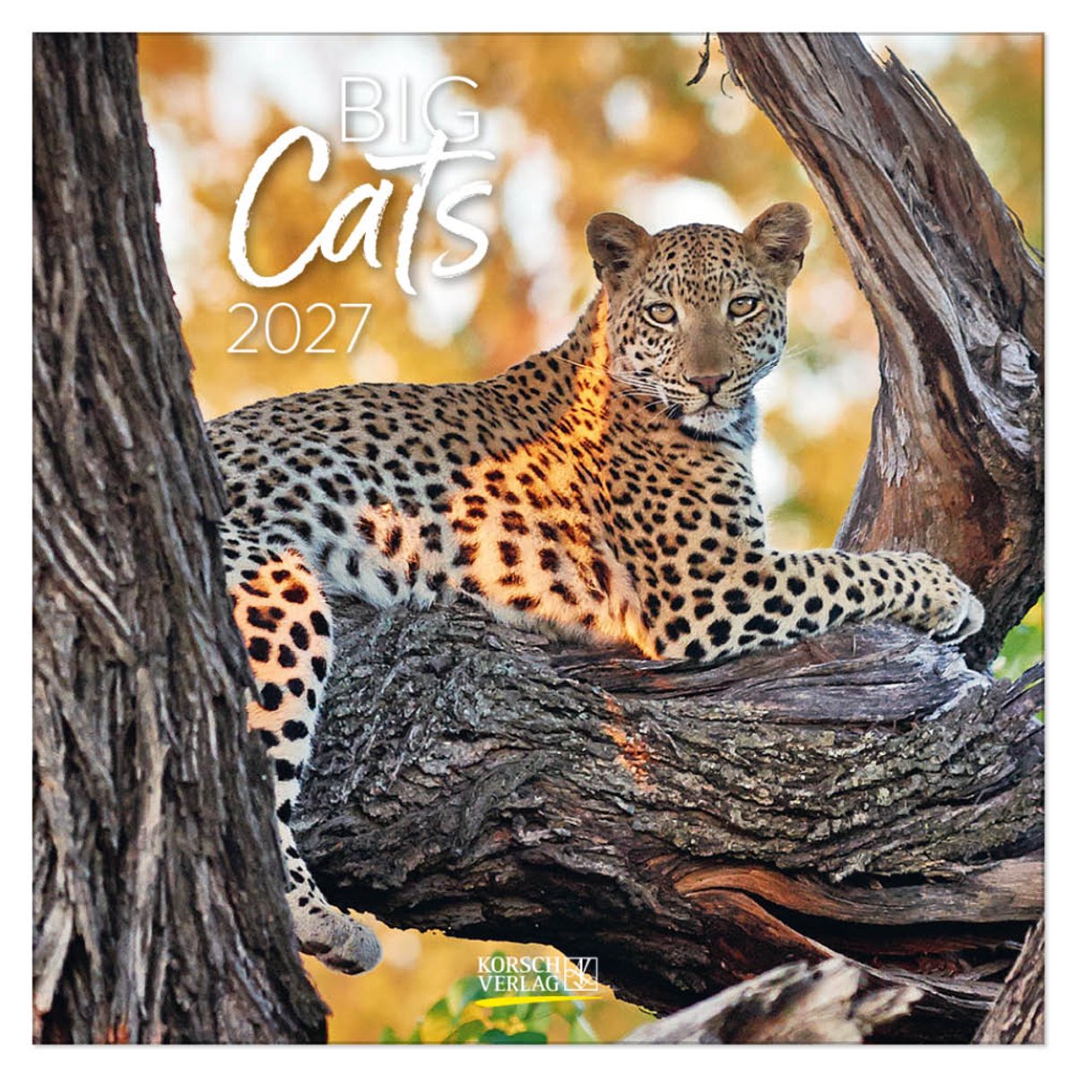 Big Cats Kalender 2027