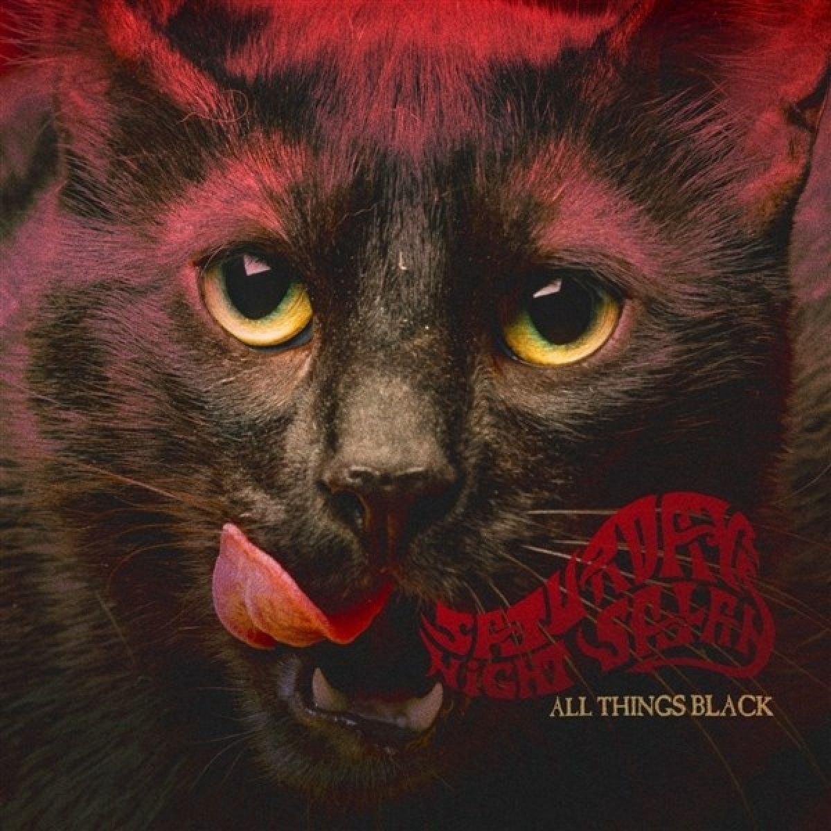 Saturday Night Satan - All Things Black (CD)
