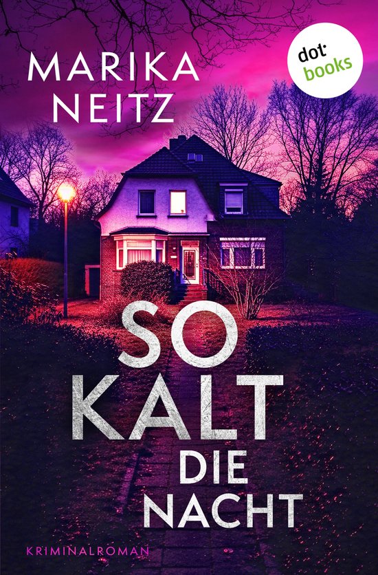 Die Fahndung 1 - So kalt die Nacht - cover