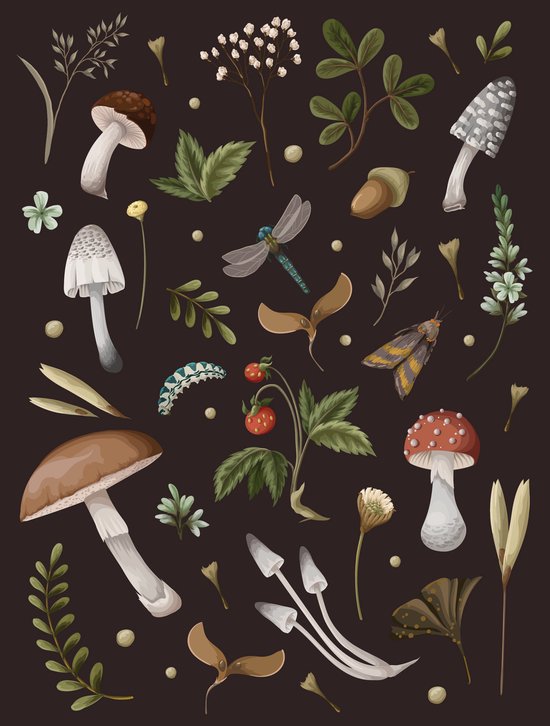 Mushroom Lined Journal - cover
