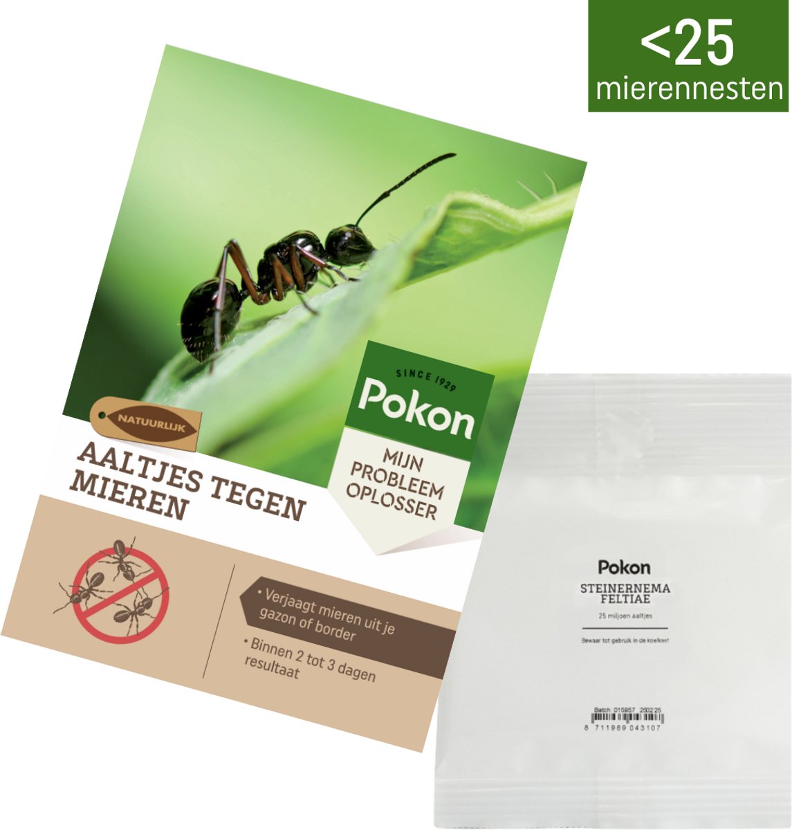 Pokon Aaltjes tegen Mieren – tot 25 mierennesten of 25m2 gazon - Effectief & Natuurlijk – Tegen mierennesten in tuin en gazon