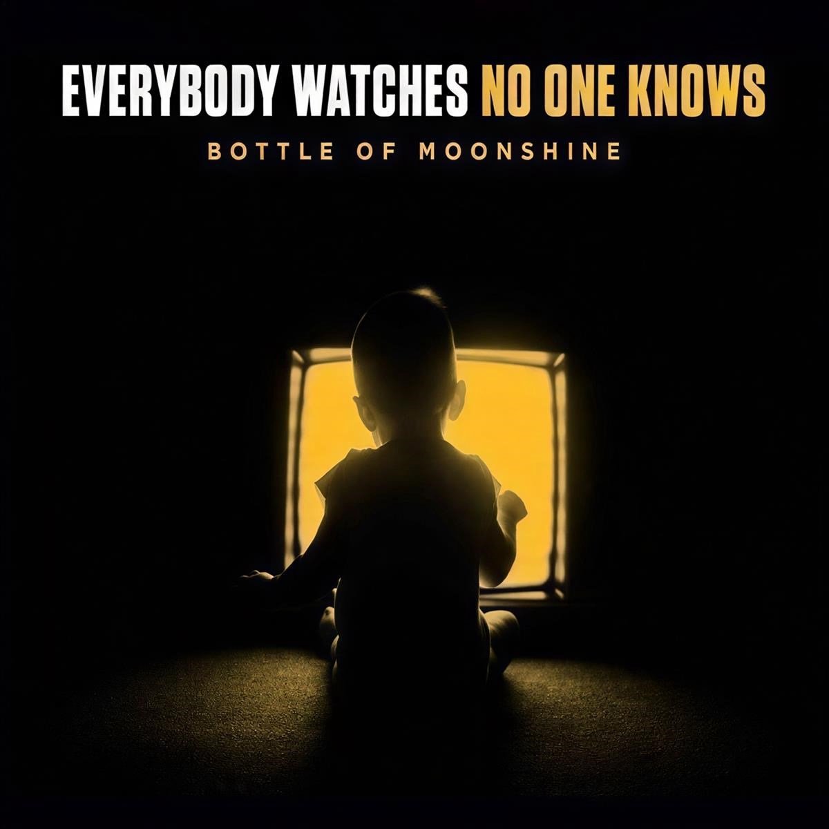 Bottle Of Moonshine - Everybody Watches No One Knows (LP)