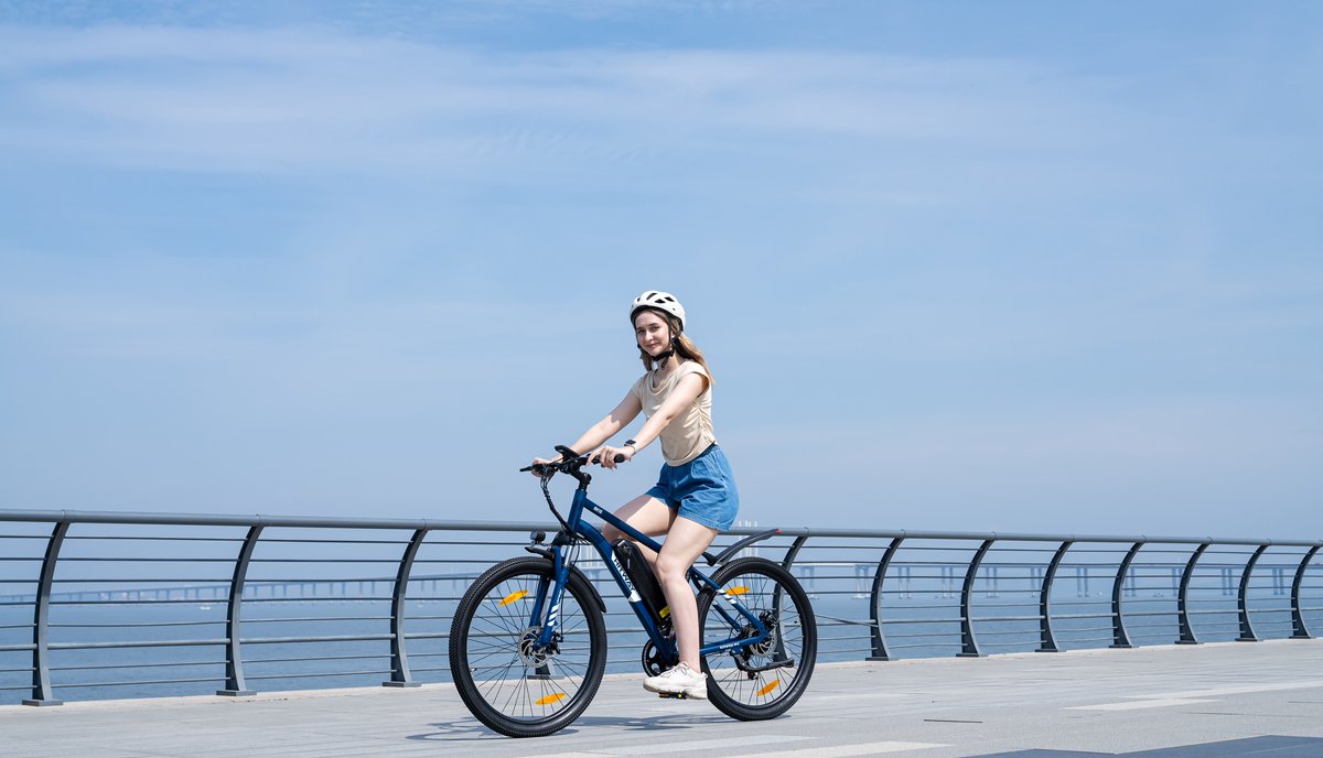 Hitway Elektrische Fiets BK15 Pro - 27.5 Inch City Commuter EBike met Afneembare 36V 13Ah Lithium Batterij - Mountain E-Bike met 250W Motor - 7 Versnellingen - IP54 Waterdicht - Elektrische Fietsen – foto 6
