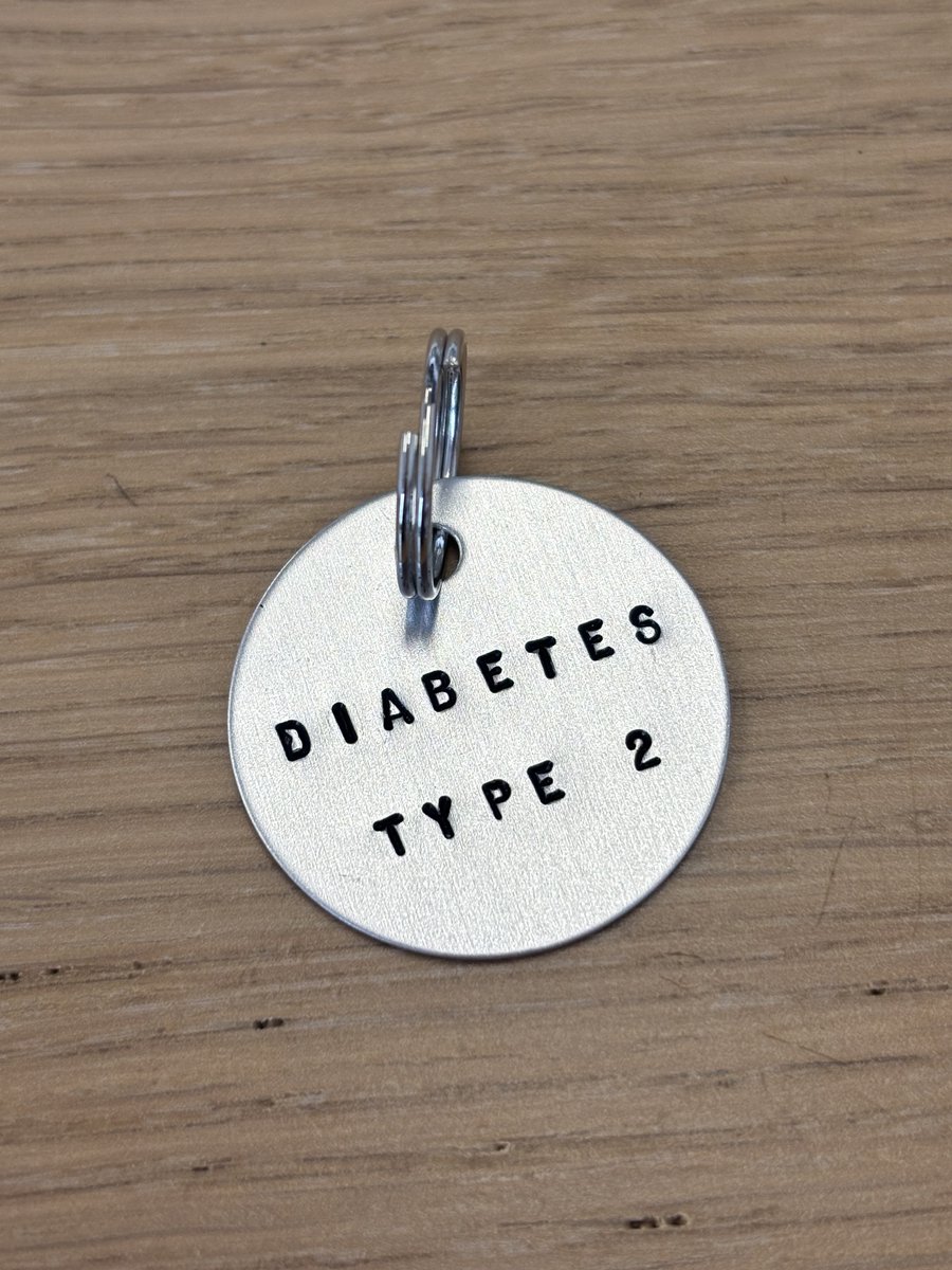 Diabetes Type 2 Penning Medical Alert Sleutelhanger