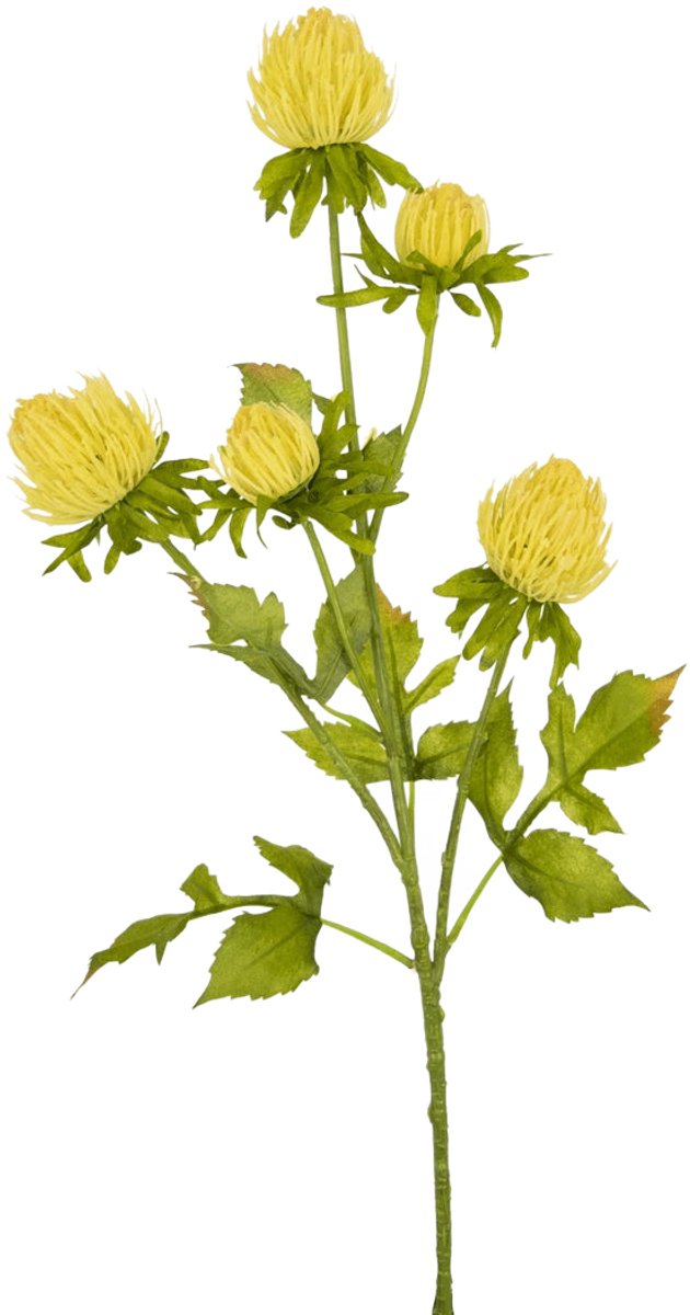 Easyplants | Kunstbloem Distel 66 cm crème | Zijde | Nepbloemen | crème | Onderhoudsvrij | Kant-en-klaar
