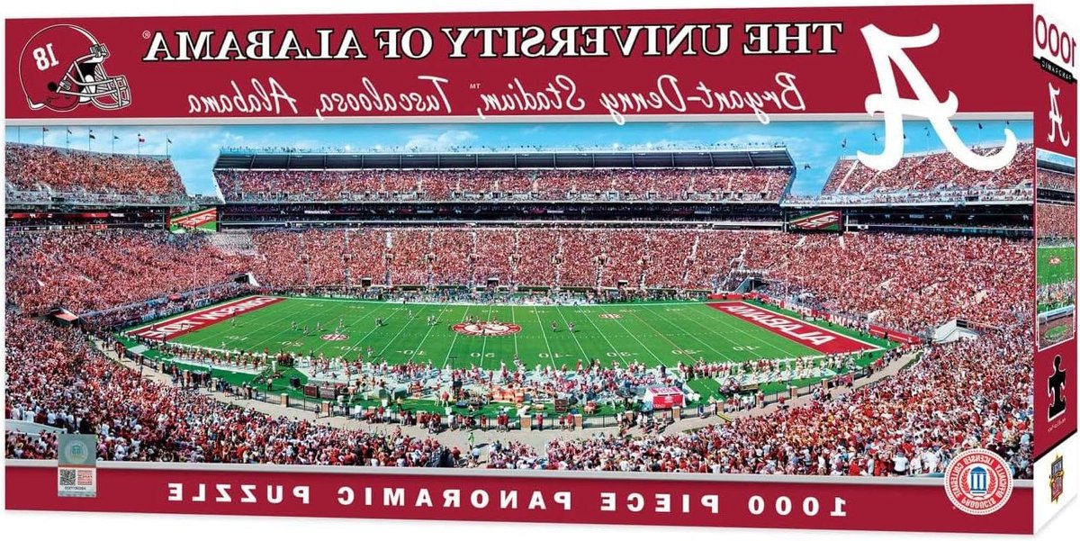 Panorama Stadionpuzzel - Puzzel 1000 stukjes - Ontspannen Huis - Gerecycled Puzzelbord - 33 x 99 cm - Voetbal