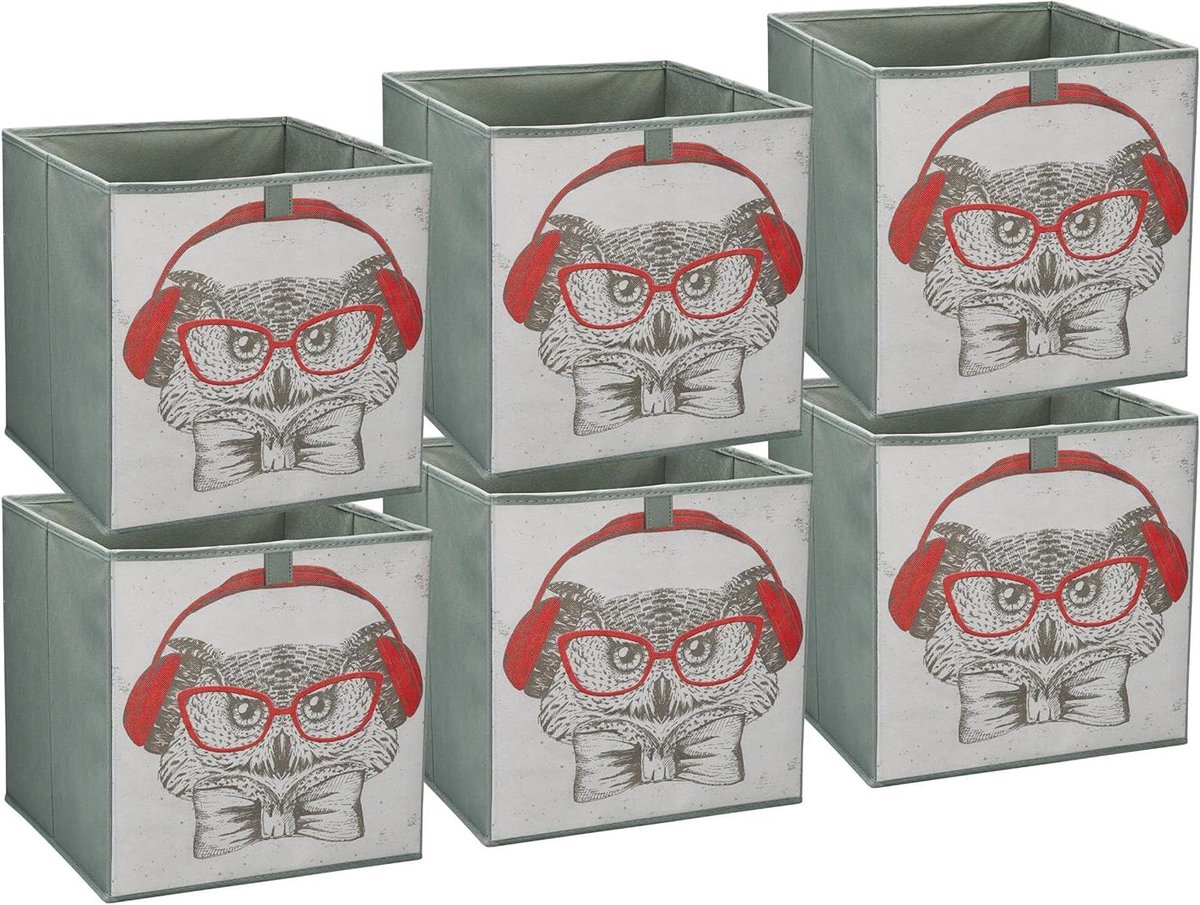 Opbergdozen Set - Opvouwbare Bakken - Ruimte Ordenen - Versterkte Handgreep - 6 Stuks 31cm - Uil