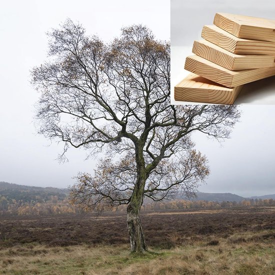 Houten Meubelverhogers - Bedverhogers - Meubels Verhogen - Stevig Massief Hout - 4x4x4 cm - Houtkleur van Houten — afbeelding 4