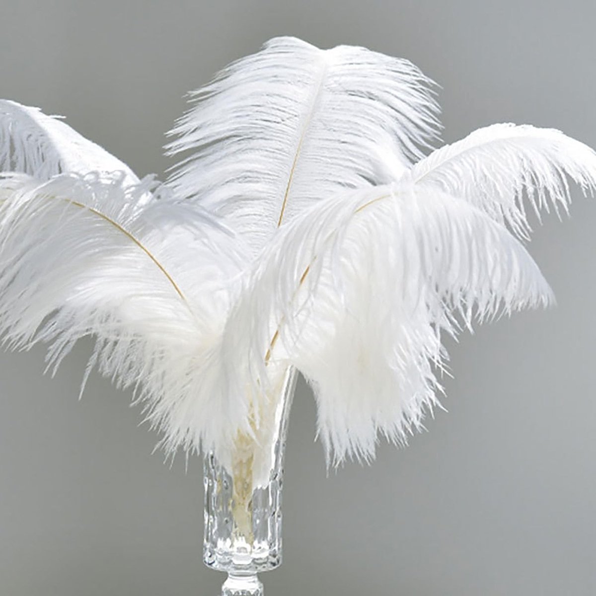 Dailygoods- Struisvogelveren 10 stuks 25-30 cm - Decoratieve Witte Veren - Bruiloftdecoratie - Tafeldecoratie - Knutselwerk - Hoge kwaliteit en donzige textuur