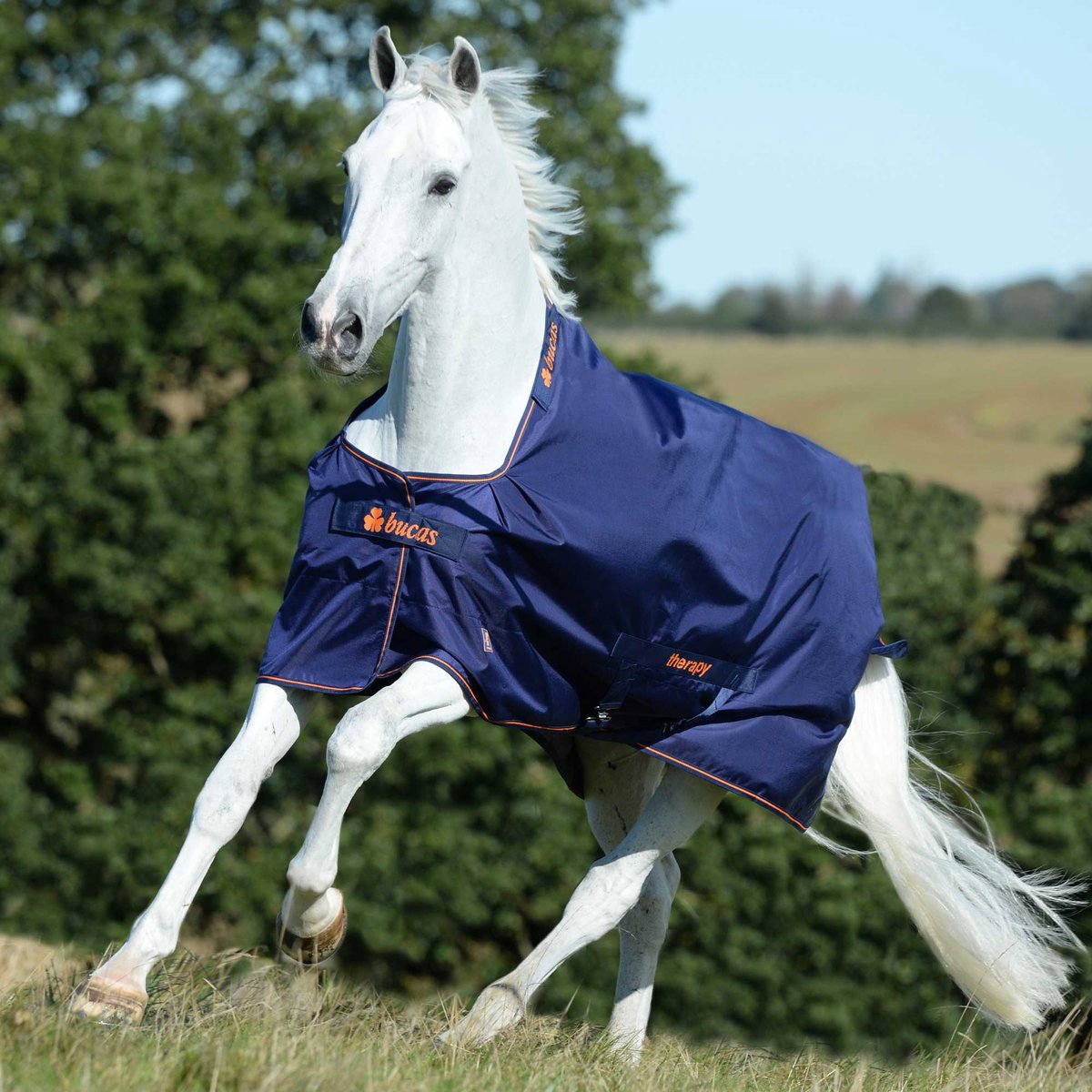 Bucas Therapy Turnout Medium 150g Navy - 85/110