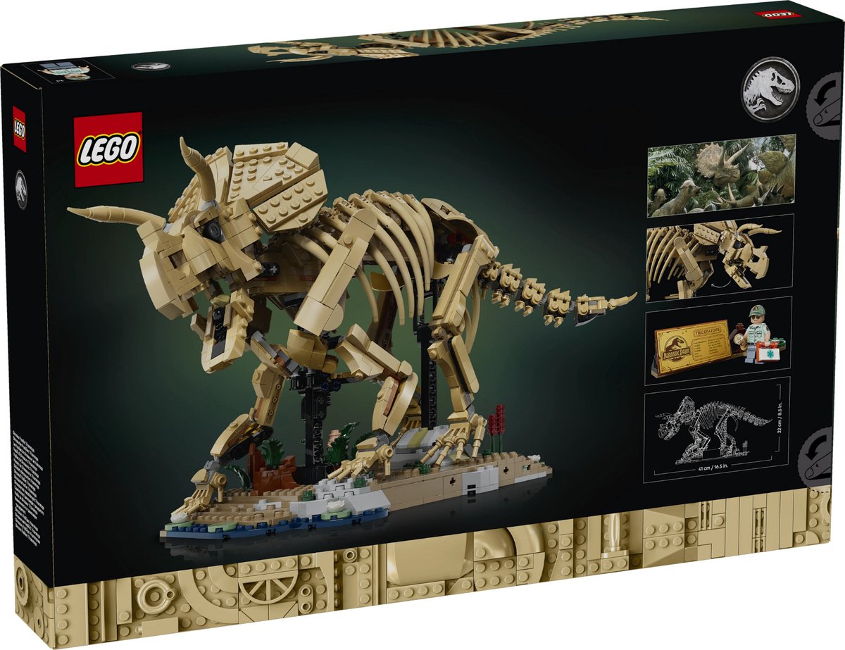 LEGO® Jurassic World Dinosaurusfossielen: Triceratops 77985 — afbeelding 16