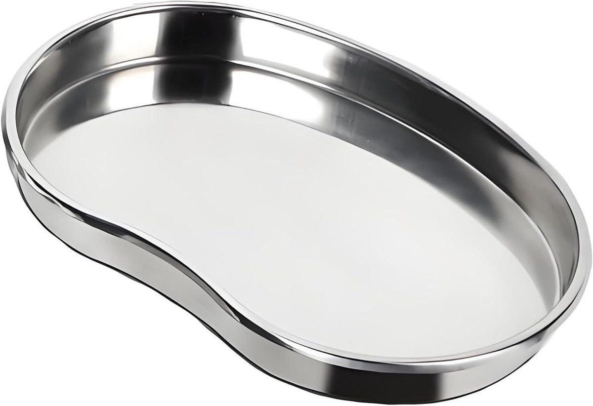 Metalen Bakplaat Rvs Schaal Keuken Organisatie Hittebestendig Materiaal 22x15x2.5cm Zilver
