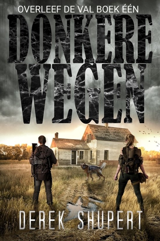 Survive the Fall- Donkere Wegen - cover