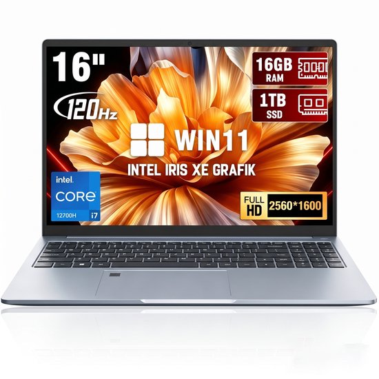 Ninkear N16 Pro 16 inch laptop - Intel Core i7-12700H - 12GB DDR4 - 1TB SSD - QHD 120Hz - Intel Arc - Windows 11