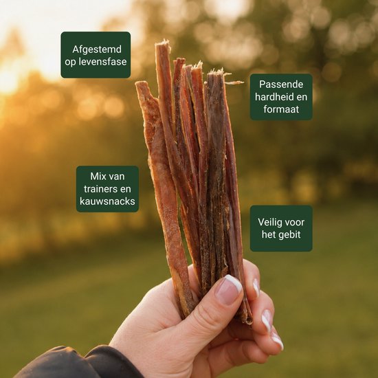 Een hand houdt een bos bruine, gedroogde hondensnacks vast, tegen een zonsondergang.