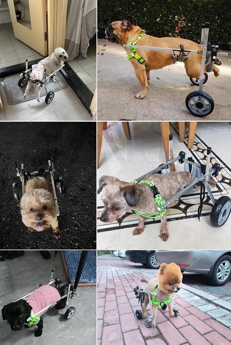 Hondenrolstoel - Huisdier mobiliteit - Hulp bij wandelen - Verstelbaar frame - Voor kleine hond - Metaal