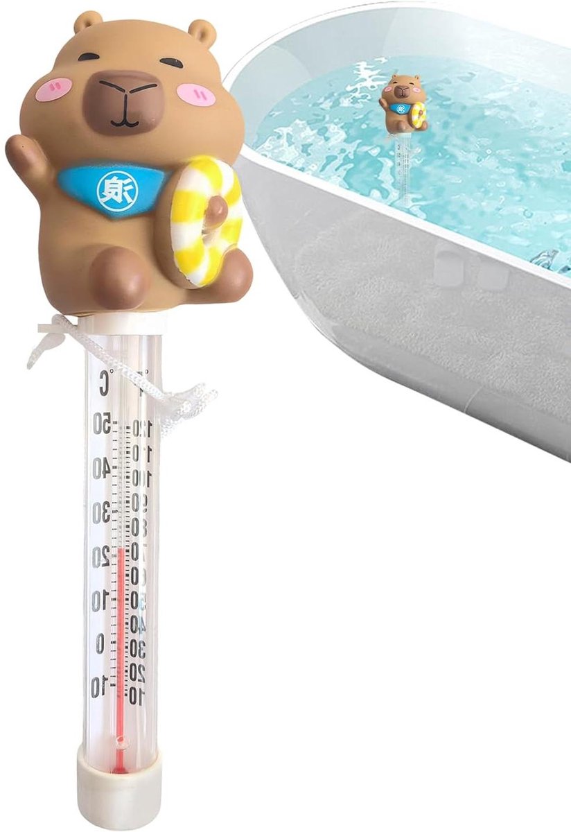 Watertemperatuurmeter - Spa Tester - Zwembad Controleren - Drijvend Waterdicht Design - 15 cm - Multi